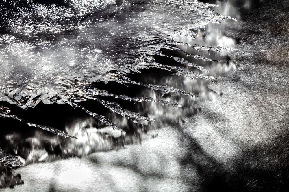 Iced Over Alder Creek 7