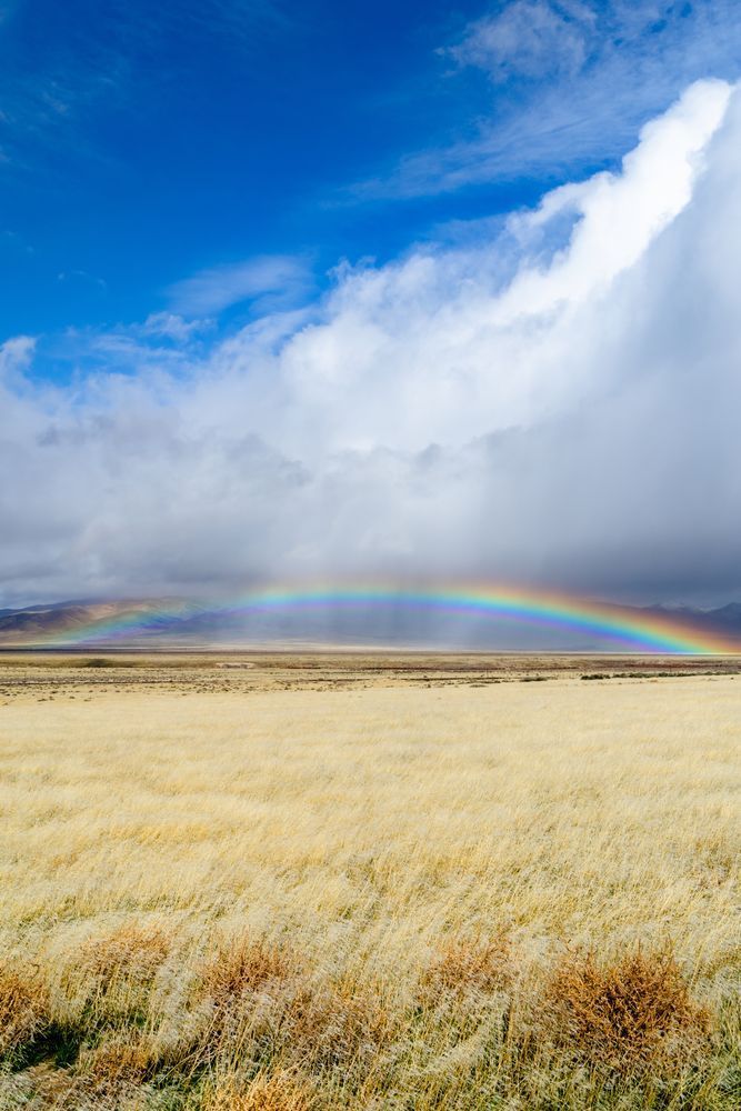 Nevada Rainbow