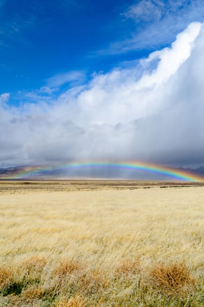 Nevada Rainbow