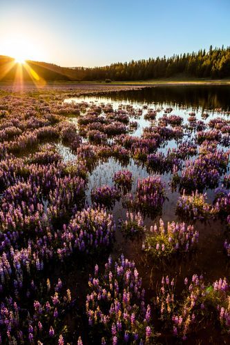 Mdawmdawmdawmdaw7qgraepd6cacehr zcfbfywxu2fyveayeunrgwctqqqltnerwweter6yomfiojy24adow ljj7f22f2vd2s3k0fn 38ezqodftc2xeuhdjufahdziomokxodj3hs jg da6ji5eudq olwagpj5emn5oyw2bynboaum1vwrs dbdbrtxc71y7j0ndlxbqibeg4cvm rqhwlho b feh7yn1rmvr9l onta8u4q ibbhy 8fouj2ekcyrnye gra3z4wvw8bvwwhrtn4ah9qhvl4ryu8m9gc goseswzfnnj 8ehs8pi3g7n4s6lfsnl3smoeyg