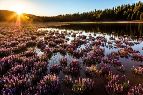 Mdawmdawmdawmdaw7qgraepd6cacehr zcfbfywxu2fyveayeunrgwctqqqltnerwweter6yomfiojy24adow ljj7f22f2vd2s3k0fn 38ezqodftc2xeuhdjufahdziomokxodj3hs jg da6ji5eudq olwagpj5emn5oyw2bynboaum1vwrs dbdbrtxc71y7j0ndlxbqybbi8uuwu1qhwlho b fex1y31rmvr9l onta8u4q ibbhy 8fouj2ekcyrnye gra3z4wvw8bvwwhrtn4ah9qhvl4ryu8m9gc goseswzfnnj 8ehshcpt4beqkd1kqh2ooeb5mw