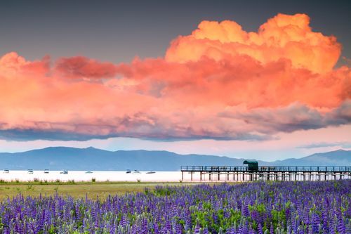 Mdawmdawmdawmdaw7qgraepd6cacehr zcfbfywxu2fyveayeunrgwctqqqltnerwweter6yomfiojy24adow ljj7f22f2vd2s3k0fn 38ezqodftc2xeuhdjufahdziomokxodj3hs jg da6ji5eudq olwagpj5emn5oyw2bynbom0iedbnj1zznetnpcb9ksdpvvf ntogsxotnw kydbjz7qsosaaklyfwi m2bl ghfqh6uvubbpjqzilucflwulyo8akewlyndpbcjgmhw f438bmtxrgekhz6jlp2rhh1rqmjegzpnhl8vnr88