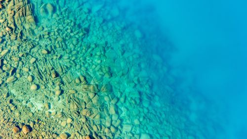 Mdawmdawmdawmdaw7qgraepd6cacehr zcfbfywxu2fyveayeunrgwctqqqltnerwweter6yomfiojy24adow ljj7f22f2vd2s3k0fn 38ezqodftc2xeuhdjufahdziomokxodj3hs jg da6ji5eudq olwagpj5emn5odxaxuefwcfkpwddy mzzgxs9saik8o0wc ivq styod9nafpafqh ftlbagwmt1ijpktbrcnvweu4uu3rk4x6npotgycife5eos4vew3nckqvcvid3nipczjzmqgrgh5deuj6hu0lpjf251vn3tsx69dtszbouds