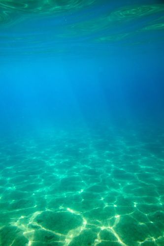 Mdawmdawmdawmdaw7qgraepd6cacehr zcfbfywxu2fyveayeunrgwctqqqltnerwweter6yomfiojy24adow ljj7f22f2vd2s3k0fn 38ezqodftc2xeuhdjufahdziomokxodj3hs jg da6ji5eudq olwagpj5emn5odxaxuefwcfkpwdpu7c3mkbzgclx2 z8lcqnbrybowslwzvrqhwljrut5huxxzh1rmvr9l onta8u4q ibbhy 8fouj2ekcyrnye gra3z4wvw8bvwwhrtn4ah9qhvl4ryu8m9gc goseswzfnnj 8ehsl4prqkkxkv5yox56bw 5tg