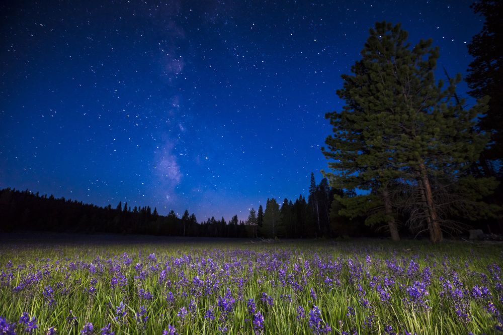Milky Way Above Sagehen Meadows 3