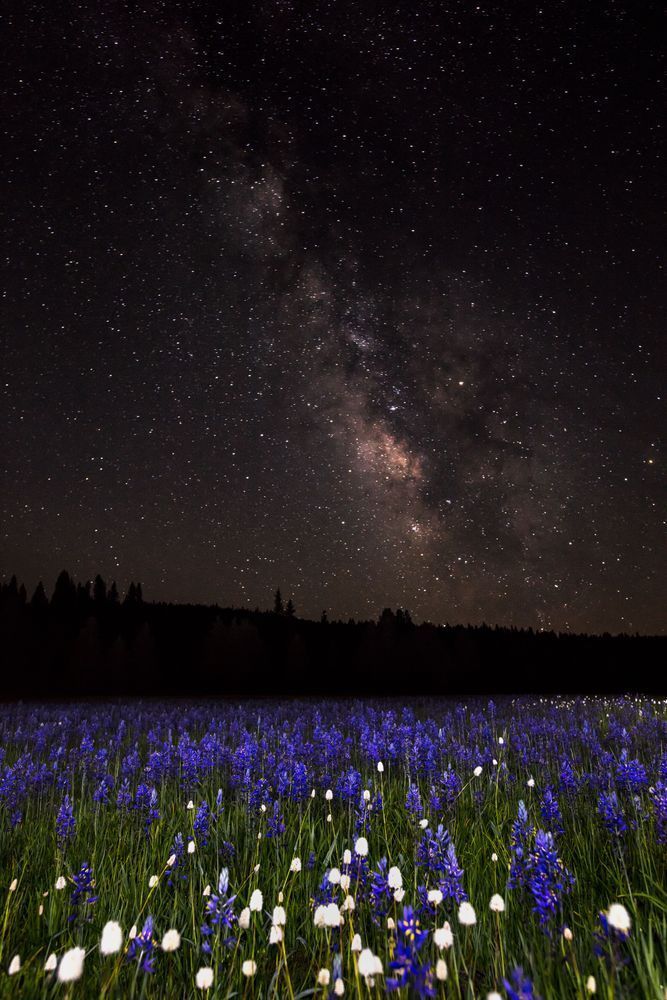Milky Way Above Sagehen Meadows 2