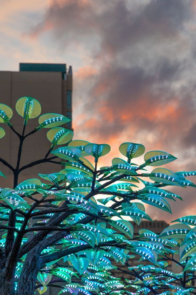 Reno Western Lights Festival 2