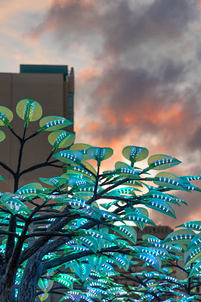 Reno Western Lights Festival 2