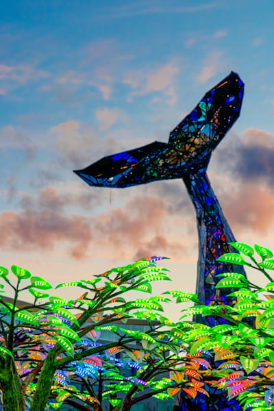 Reno Western Lights Festival 3