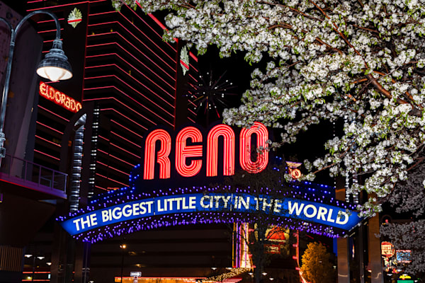 Reno Arch 6