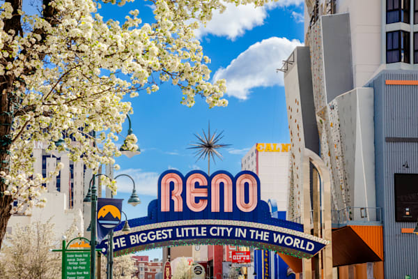 Reno Area Gallery
