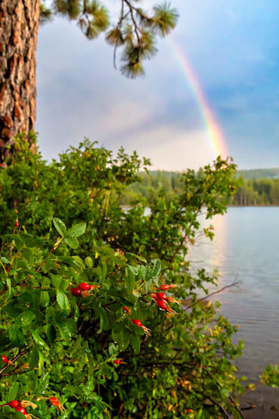 Rainbow over Donner Lake 7