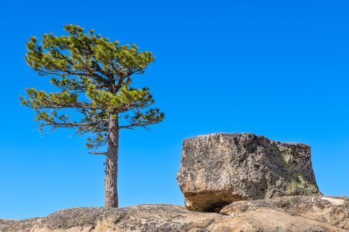 Mdawmdawmdawmdaw7qgraepd6cacehr zcfbfywxu2fyveayeunrgwctqqqltnerwweter6yomfiojy24adow ljj7f22f2vd2s3k0fn 38ezqodftc2xeuhdjufahdziomokxodj3hs jg da6ji5eudq olwagpj5emn5ryxcfz8fone pyikf1dyjehvqfeemqd5tvpsqte0z3nk5zrttdeoj 7i6qbqwltjpg kxcpppzrvy8rvib cpqcruusfsibfyf4cleqhh153map0qdzsu8ginzif8ekxscqlaedtx1zsuzn01bq5rf8 p