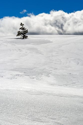 Mdawmdawmdawmdaw7qgraepd6cacehr zcfbfywxu2fyveayeunrgwctqqqltnerwweter6yomfiojy24adow ljj7f22f2vd2s3k0fn 38ezqodftc2xeuhdjufahdziomokxodj3hs jg da6ji5eudq olwagpj5emn5ryxcfz8fone pyikk1c7jhsj3i emqd9tv autocc3nk5zrttdeoj 7i6qbqwltjpg kxcpppzrvy8rvib cpqcruusfsibfyf4cleqhh153map0qdzsu8ginzif8ekxscqibgsnr3z6z3fyn74f2cel5