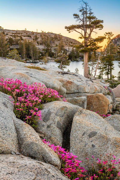 Sunrise at Paradise Lake 6