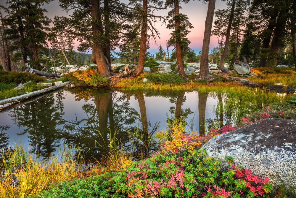 Sunrise at Paradise Lake 4