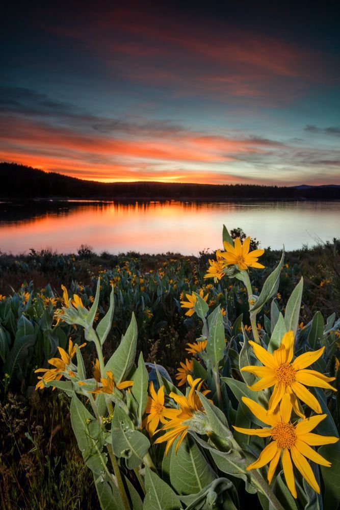 Sunset at Boca Reservoir 8