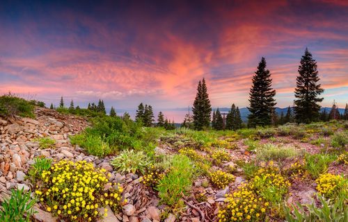 Mdawmdawmdawmdaw7qgraepd6cacehr zcfbfywxu2fyveayeunrgwctqqqltnerwweter6yomfiojy24adow ljj7f22f2vd2s3k0fn 38ezqodftc2xeuhdjufahdziomokxodj3hs jg da6ji5eudq olwagpj5emn5ryxoba8foaum1sxdw7 rsfixqc5ejqlqhh6n4frmfw4r5kabhfg5jqvijv7lg1hfpmpyxcle8tamb5gdicayxsfn8hi3uxo1ylcaghw18gyxvemvzrcsv4drf2435dl5mprtisgdzrl9apnkytjcv ubvyfk1r4qdw8nbwa