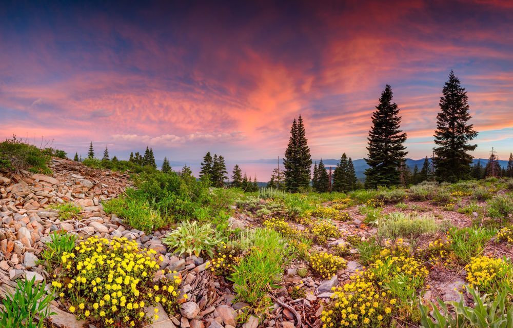 Sunset at Lake Tahoe 46