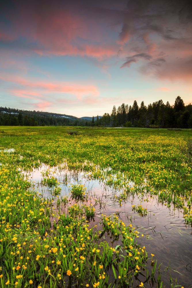 Sagehen Meadows Sunset 9