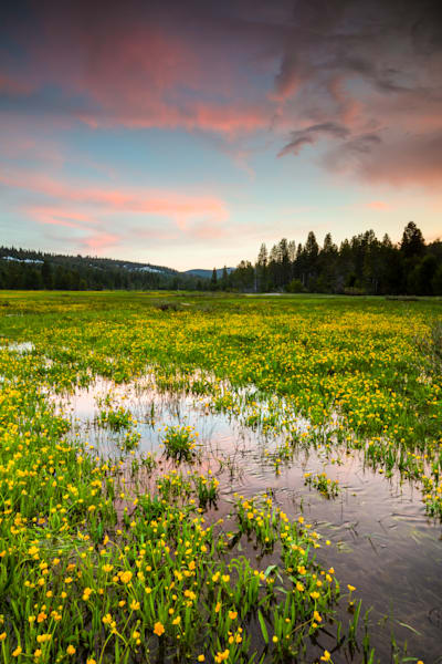 Sagehen Meadows Sunset 9