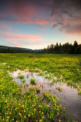 Mdawmdawmdawmdaw7qgraepd6cacehr zcfbfywxu2fyveayeunrgwctqqqltnerwweter6yomfiojy24adow ljj7f22f2vd2s3k0fn 38ezqodftc2xeuhdjufahdziomokxodj3hs jg da6ji5eudq olwagpj5emn5rdxqxztb p3cpzhjs dbnjdfrzatjwdi9aa zdrlb3yj mabpgaxlr 7ntawl2n8znu  bak1urwx8x3kcltgqzjcr2zf2figndhuggl4nnpbho9uscqa gjh1ij5elazilzyrk1rs7pa61k4fjwp 2ybg mtihphineq2k4