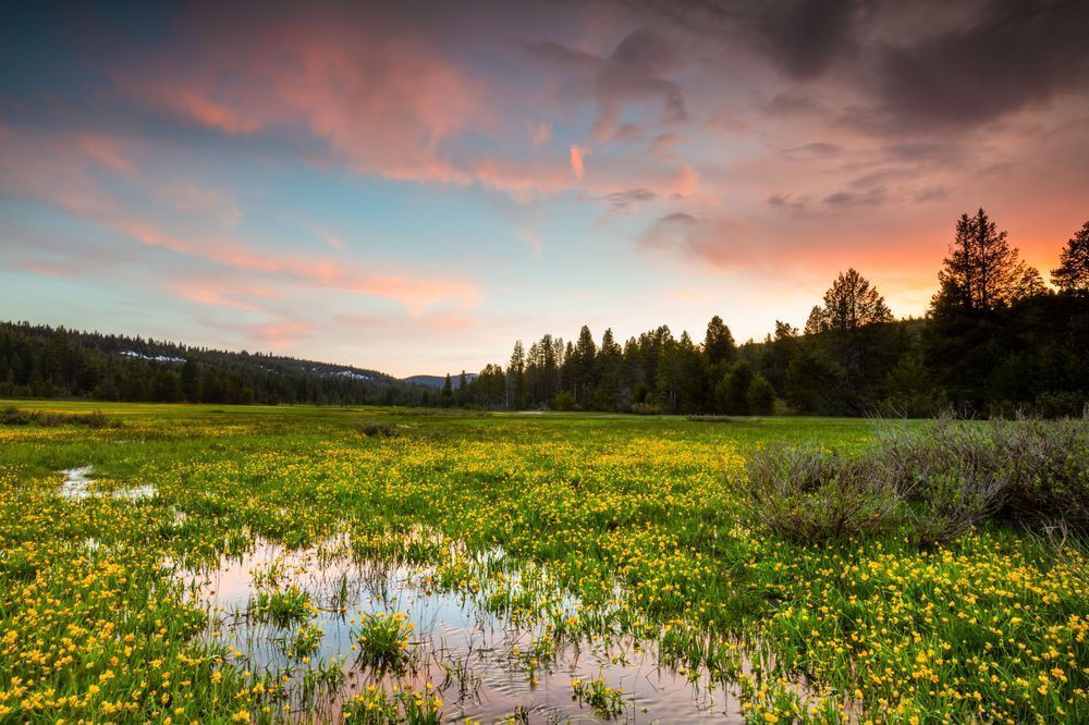 Sagehen Meadows Sunset 8