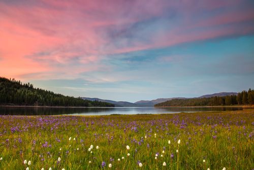 Mdawmdawmdawmdaw7qgraepd6cacehr zcfbfywxu2fyveayeunrgwctqqqltnerwweter6yomfiojy24adow ljj7f22f2vd2s3k0fn 38ezqodftc2xeuhdjufahdziomokxodj3hs jg da6ji5eudq olwagpj5emn5rdxqxztb p3cpzhjs dbnjdfrzatjwdg9db79audn3yj mabpgaxhroxntawl2n8znu  bak1urwx8x3kcltgqzjcr2zf2figndhuggl4nnpbho9uscqa gjh1ij5elazilzyrk1rs7pa61k4fg4zuebpt irtipzqf dh8g