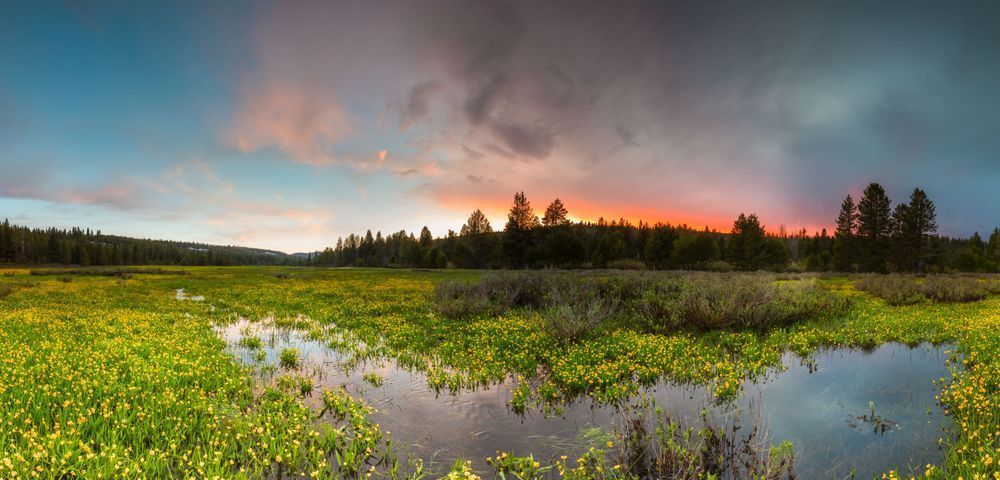 Sagehen Meadows Sunset 7
