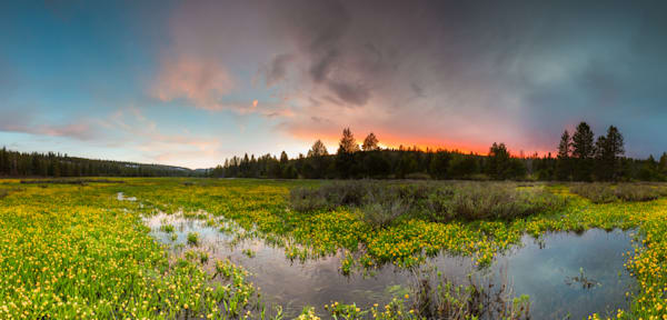 Sagehen Meadows Sunset 7