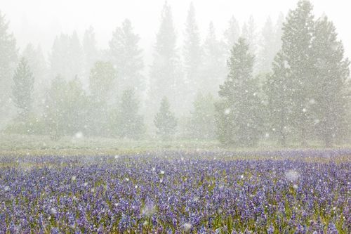 Mdawmdawmdawmdaw7qgraepd6cacehr zcfbfywxu2fyveayeunrgwctqqqltnerwweter6yomfiojy24adow ljj7f22f2vd2s3k0fn 38ezqodftc2xeuhdjufahdziomokxodj3hs jg da6ji5eudq olwagpj5emn5renkfd zcavqpbxnt1ejdfibqyb1irlqrcftke70fw4r5kkljhwzmrvijv7lg1hfpmpyxcle8tamb5gdicayxsfn8hi3uxo1ylcaghw18gyxvemvzrcsv4drf2435dl5mprtisgdzrl9apnkyw5tjxvysvyl9izjxndiniq