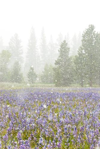 Mdawmdawmdawmdaw7qgraepd6cacehr zcfbfywxu2fyveayeunrgwctqqqltnerwweter6yomfiojy24adow ljj7f22f2vd2s3k0fn 38ezqodftc2xeuhdjufahdziomokxodj3hs jg da6ji5eudq olwagpj5emn5renkfd zcavqpbxnt1ejdfibqyb1irbqqfal8dlkfw4r5kkljhazmqpijv7lg1hfpmpyxcle8tamb5gdicayxsfn8hi3uxo1ylcaghw18gyxvemvzrcsv4drf2435dl5mprtisgdzrl9apnky3zwaq3ismynawumkp9xz4a