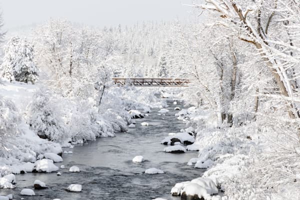 Snowy Truckee River 15