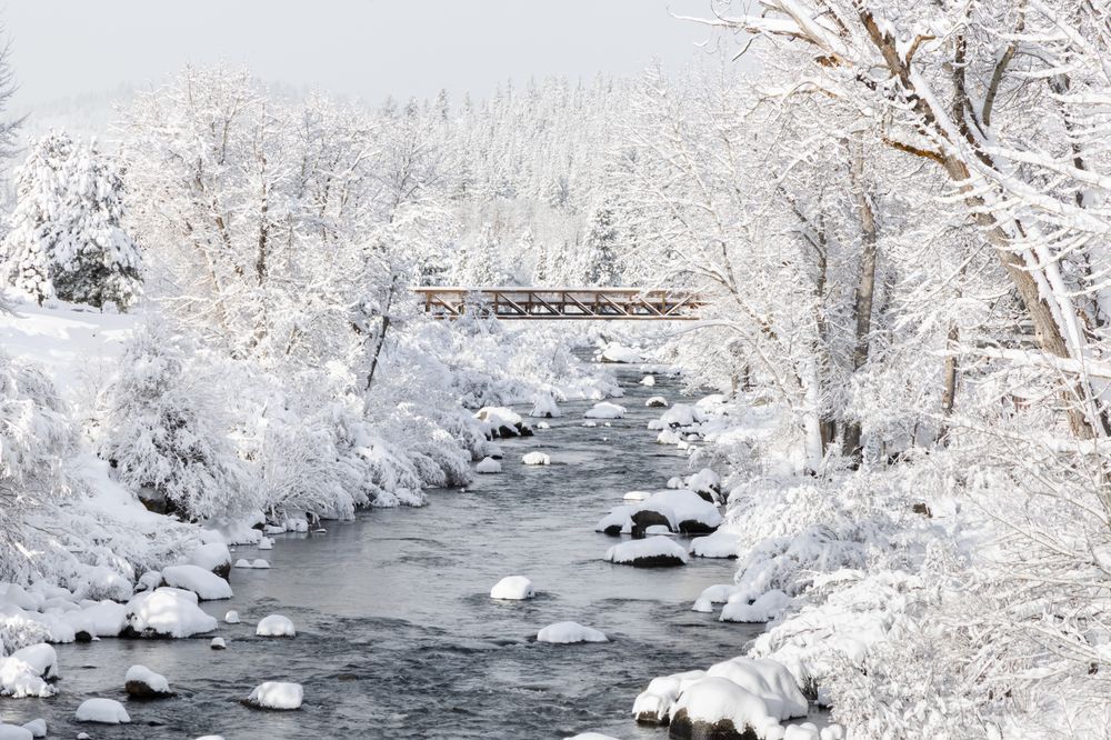 Snowy Truckee River 15