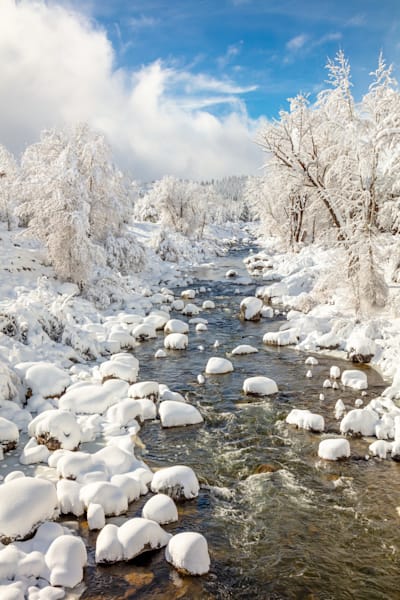 Snowy Truckee River 12