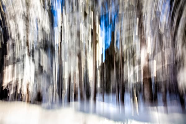 Snowy Trees Abstract 3