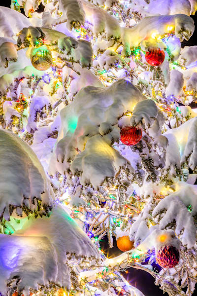 Snowy Christmas Tree in Truckee 23