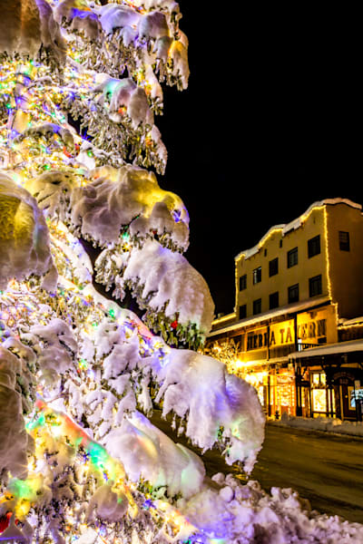 Snowy Christmas Tree in Truckee 24