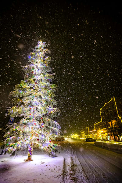 Snowy Christmas Tree in Truckee 10