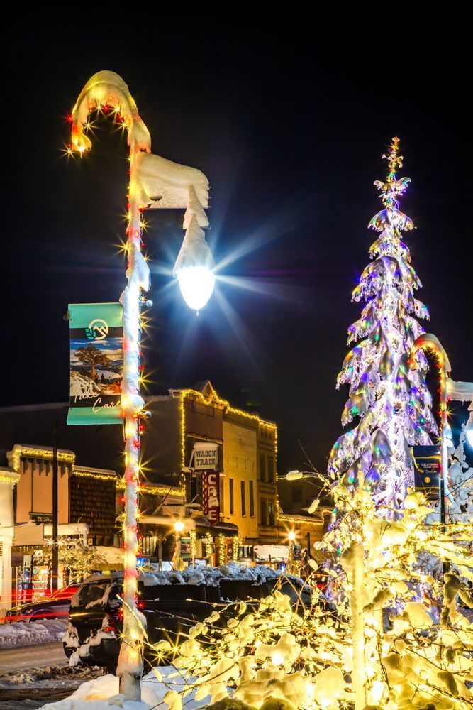 Snowy Christmas Tree in Truckee 13