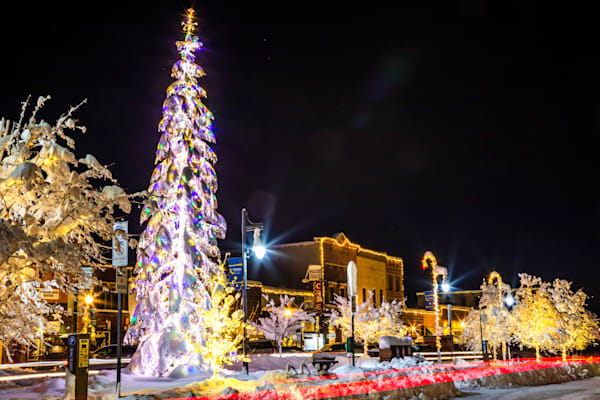 Snowy Christmas Tree in Truckee 14