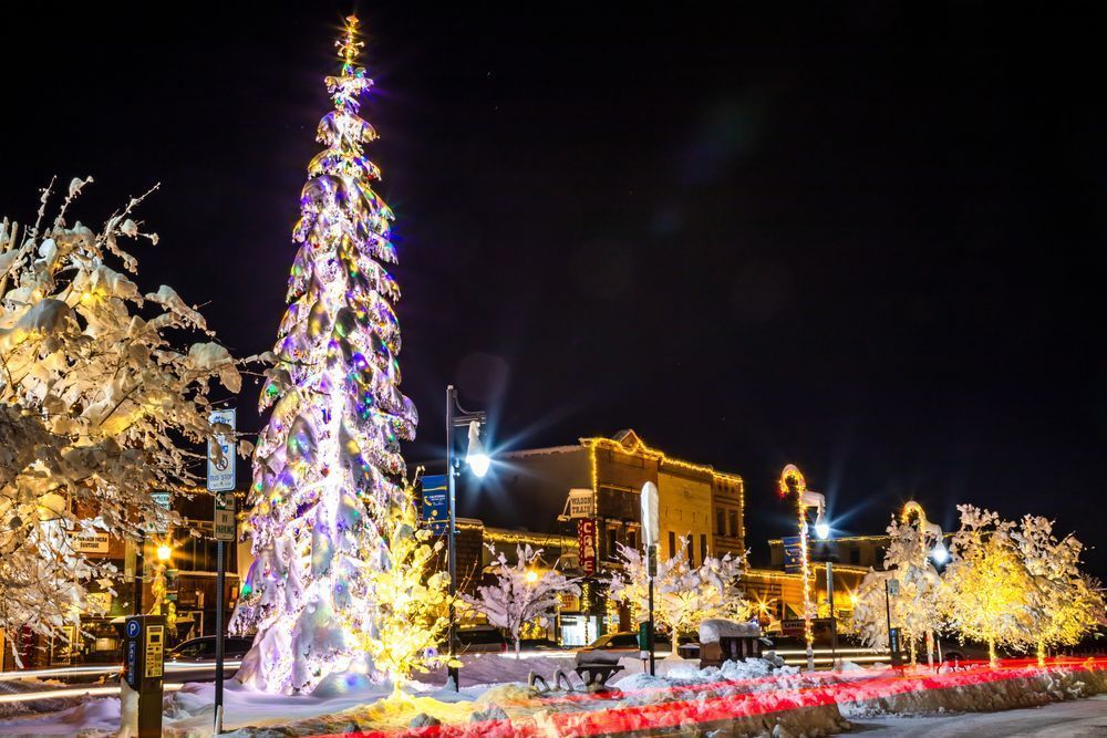 Snowy Christmas Tree in Truckee 14