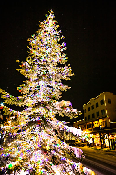 Snowy Christmas Tree in Truckee 16