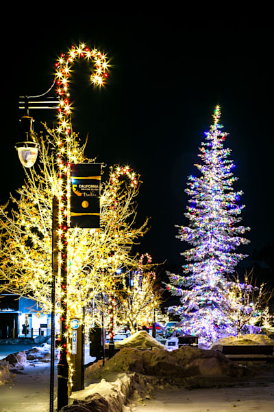 Snowy Christmas Tree in Truckee 19