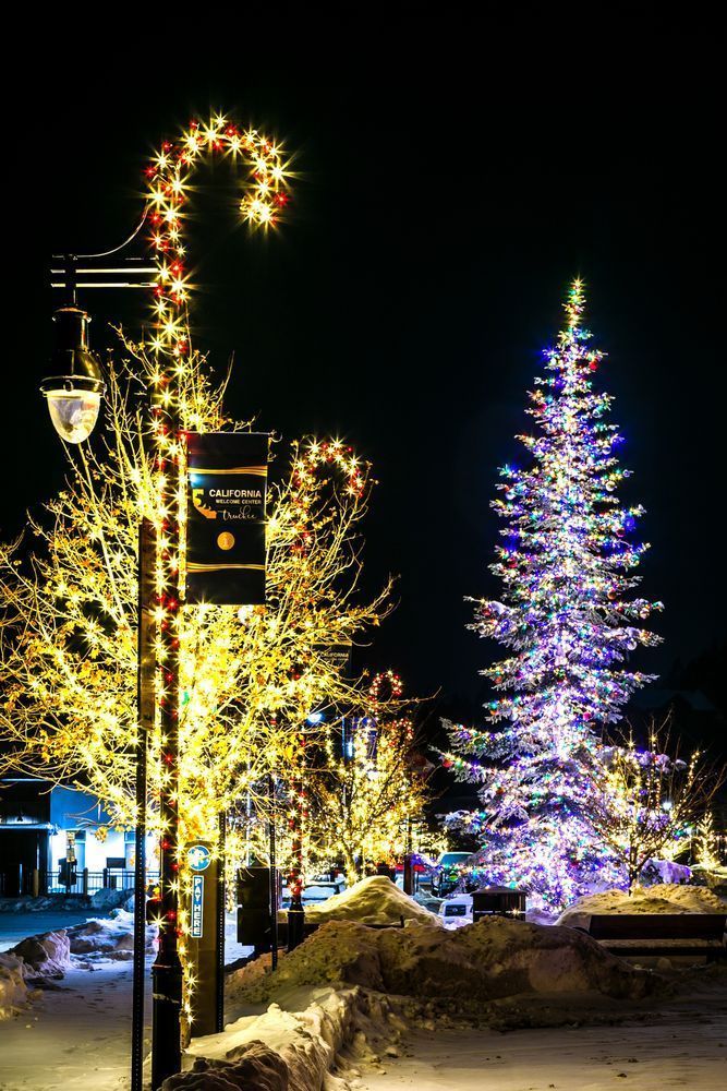 Snowy Christmas Tree in Truckee 19