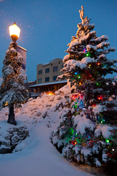 Snowy Christmas Tree in Truckee