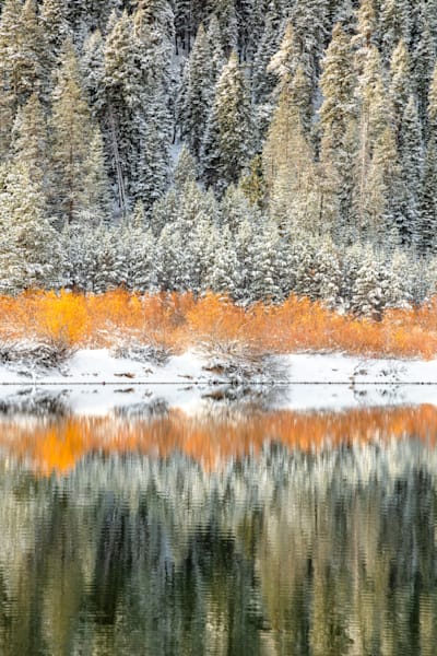 Snowy Coldstream Pond 8