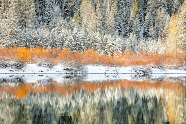 Snowy Coldstream Pond 7