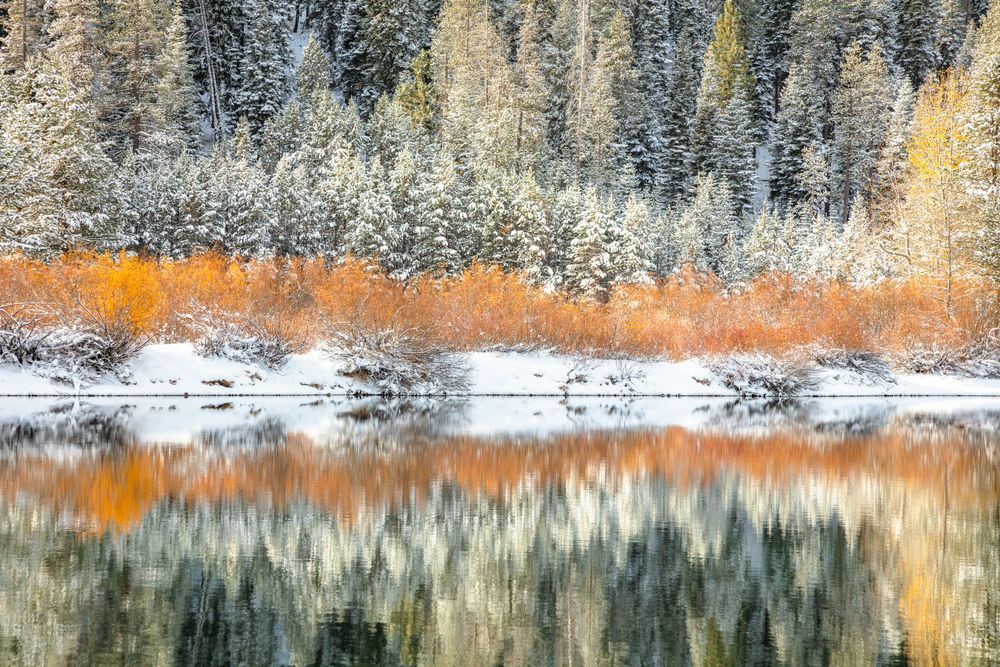 Snowy Coldstream Pond 7