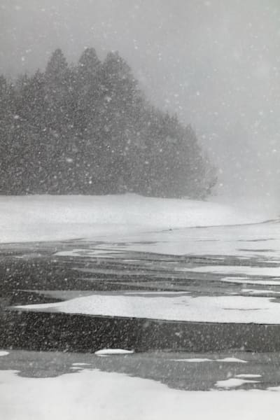 Snowy Donner Lake 12